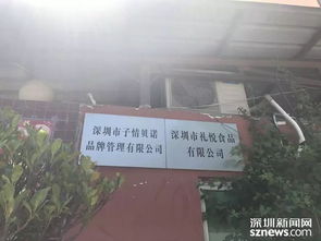 粽子安全吗 节前带你直击知名 粽子生产工厂