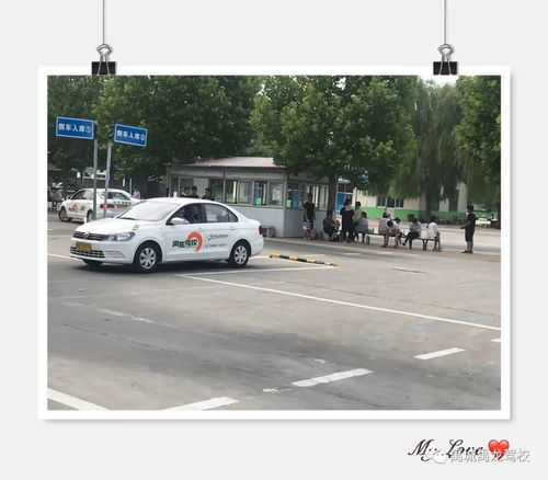 禹龙驾校与您共享 美好景色,幸福生活,安全驾驶从禹龙开始